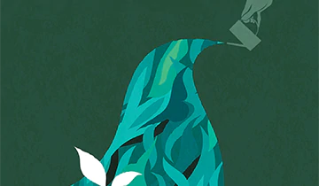 Oracle Support Essentials