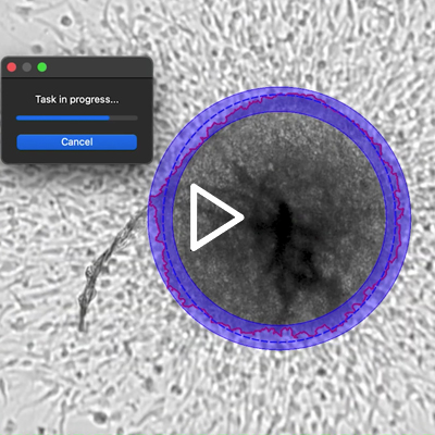 Children’s Medical Research Institute Image