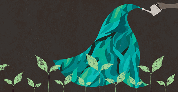 The Oracle Cloud Insider