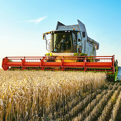 Improving farm production Image