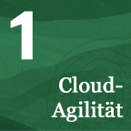 Cloud Agility in your Data Center