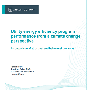 Analysis Group Report