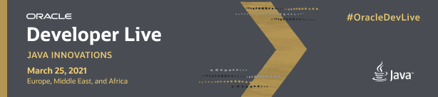 Developer Live Java 