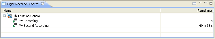 Flight Recorder Control View