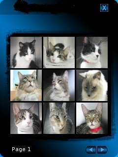 Pet Catalog UI on the Desktop