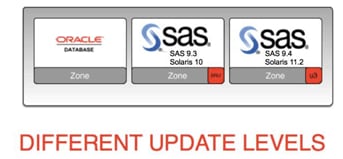 バージョンの異なるSASとOracle Solarisが同一システム上でホストされるアーキテクチャの例