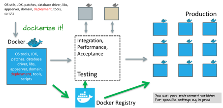 munz-docker-occs-fig04