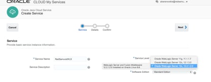 baranovskis-jcs-jet-fig039