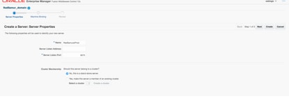 baranovskis-jcs-jet-fig045