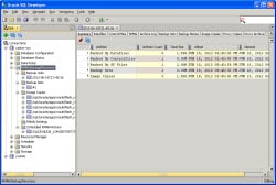 SQL Developer Recovery and Backup Manager