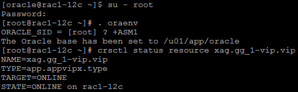 Para validar quais VIPs estão rodando e em que nodes está rodando