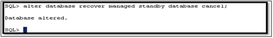 Standby Database Físico: Executado Roll Forward com backups ...