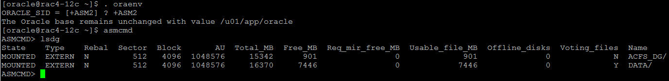 Logue-se como ‘oracle’ user na instance ASM e crie o volume para o ACFS