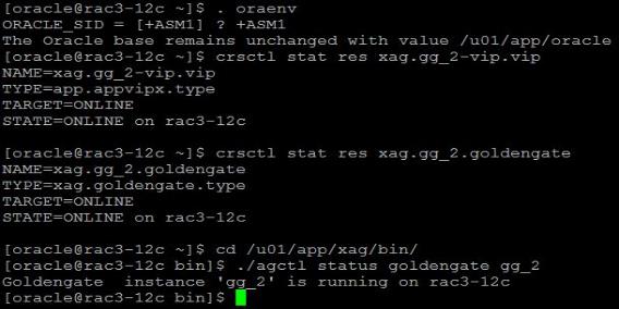 Checando o status do gg_1-vip