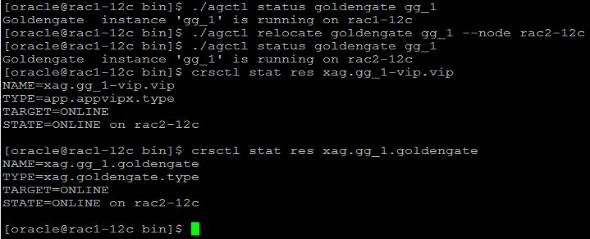 Checando o status do gg_1-vip