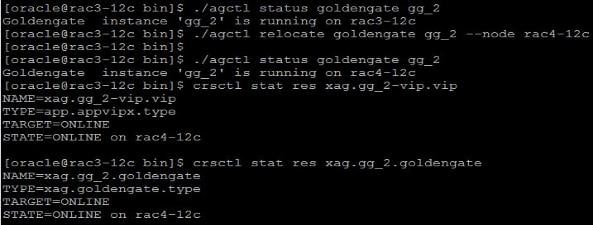 Checando o status do gg_1-vip