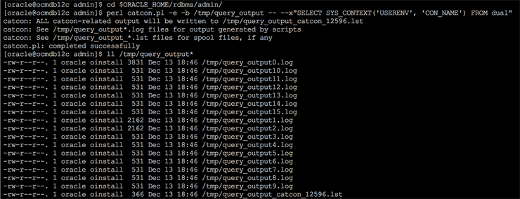 Verificando qual é o container corrente: