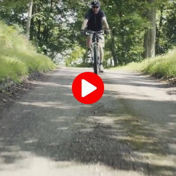 Oracle Digital Prime