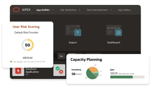 NetSuite Solutions for the CEO and Founders title image