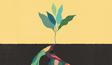 Bootcamps Webtraining