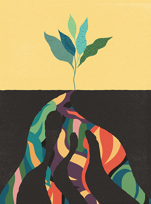 Bootcamps Webtraining