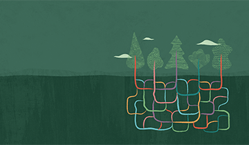 PaaS free trial Accounts