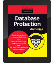 Database Protection for Dummies