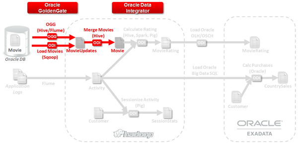 Oracle Big Data Management System