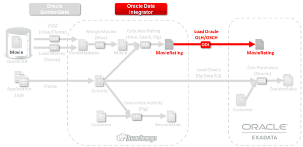 Oracle Big Data Management System