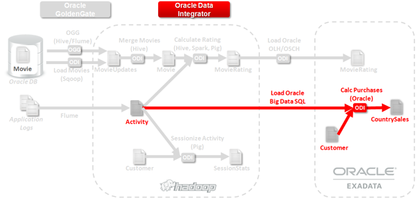 Oracle Big Data Management System