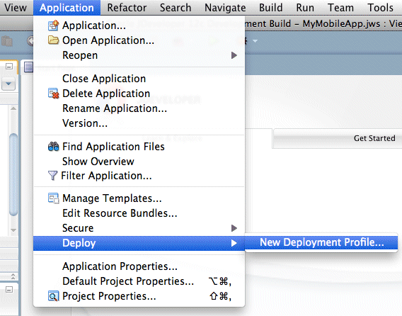 Deploy→New Deployment Profileメニュー・オプション