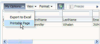 「Printable Page」メニュー・オプションを選択した状態のMy Optionsメニュー。