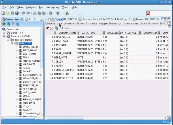 Database Copy using SQL Developer 3.1