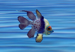Pajama Fish