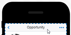 The header of the Opportunity screen.