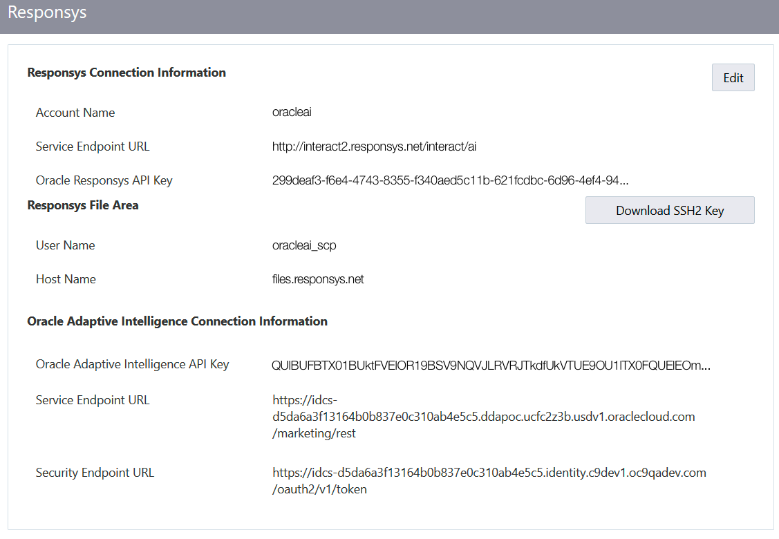 Responsys Connection Information page