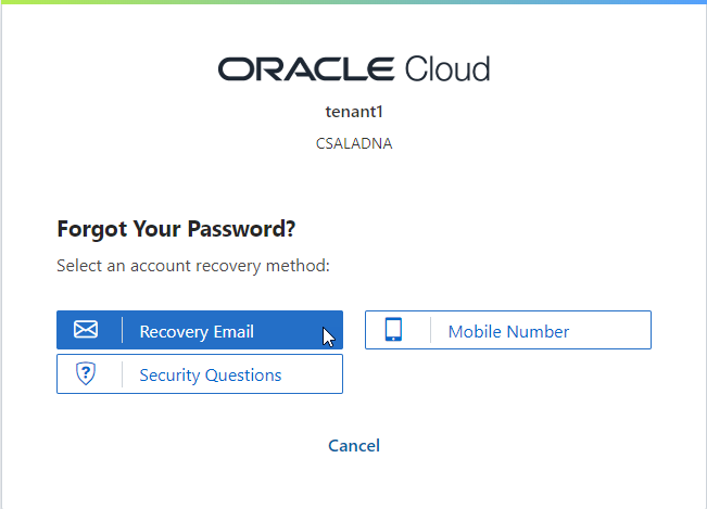 Use your recovery email address