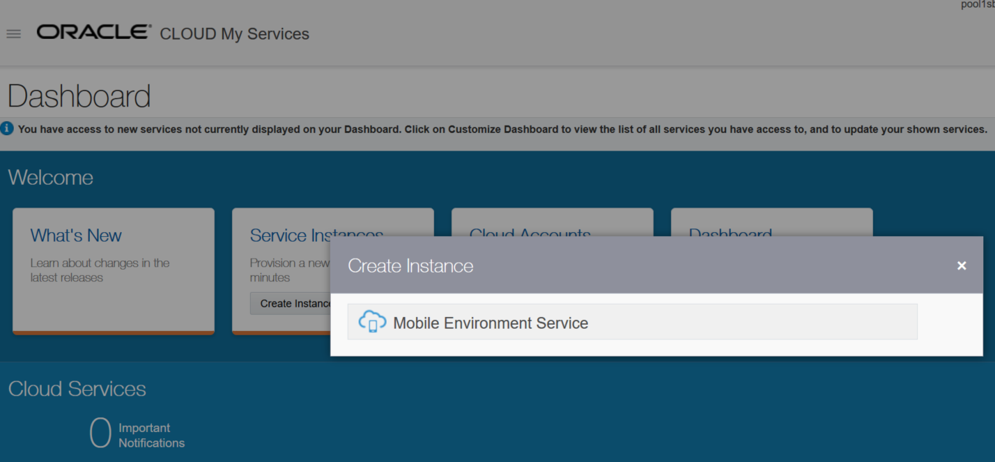 Creating a new MCS instance Creating a new MCS instance
