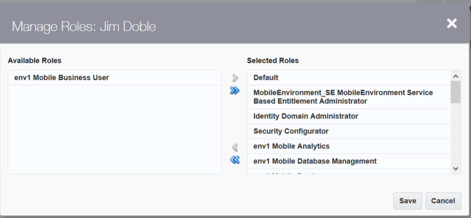 Giving roles to users Giving roles to users