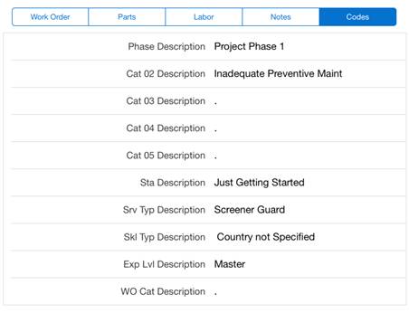 Custom Codes Tab
