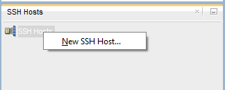 SSH Host window - New SSH Host
