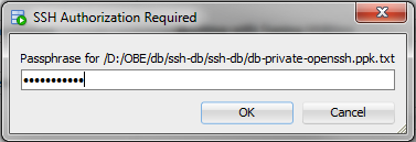 SSH authorization required dialog box