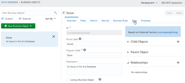 Overview page for Issue business object