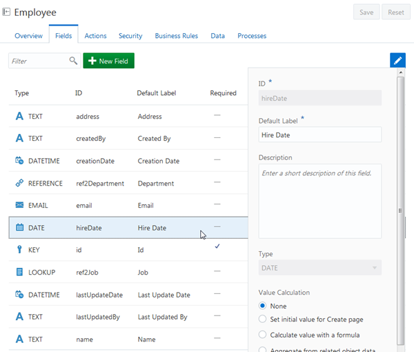 Hire Date field in Data Designer