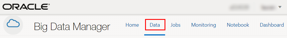 Description of the illustration data-tab.png