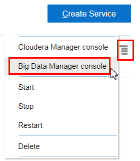 Description of the illustration 
                                select-bdm-console.png
