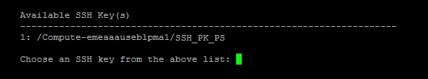 PuTTY Configuration, SSH window