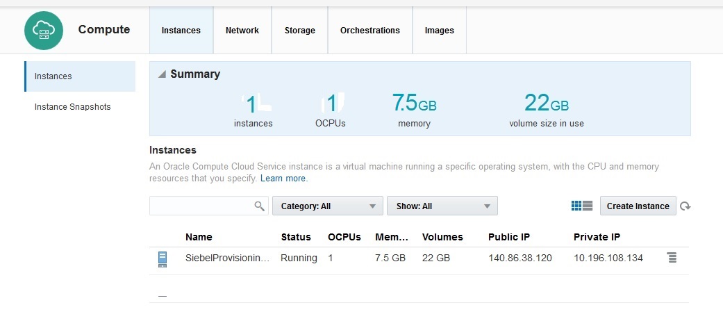 Instance list, View Running window