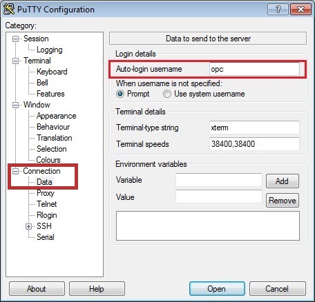 PuTTY Configuration, Data window