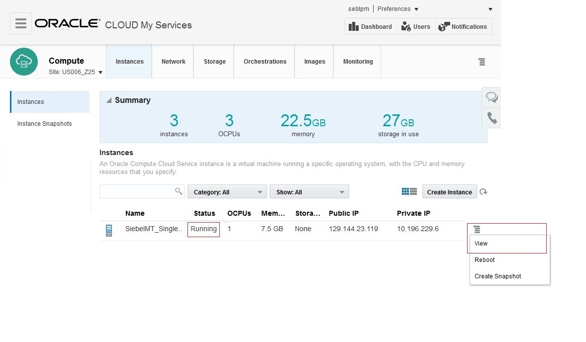 Instance list, View Running window